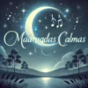 Madrugadas calmas